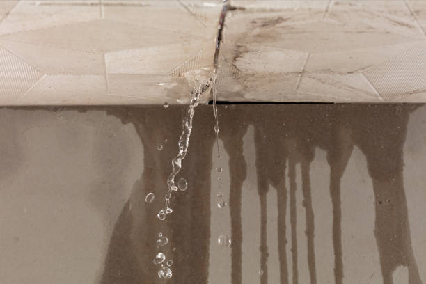 Professional Structural Drying technician working in Honey Grove, TX